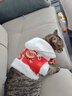 寵物衣服秋冬新款加絨新年唐裝裙子泰迪比熊狗狗貓咪牽引過(guò)年外套 新年紅【加絨】 M【建議4-6斤長(cháng)27.85左右】 曬單實(shí)拍圖
