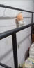 京東京造臥室陽(yáng)臺掛衣架可移動(dòng)落地晾衣架室內掛衣服1.3米火山灰 曬單實(shí)拍圖
