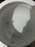 觀(guān)背青鳉星光廣溫0-40度易活好養小型冷水觀(guān)賞魚(yú)魔法不打氧不加溫 【熱賣(mài)】多色青鳉混搭5送1條 尺寸2-2.5cm 曬單實(shí)拍圖