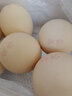 伊勢鮮雞蛋旨味贊卵30枚可生食維生素營(yíng)養型未檢出沙門(mén)氏菌1.74kg 30枚 曬單實(shí)拍圖
