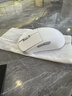 ROG龍鱗Ace Mini 無(wú)線(xiàn)三模游戲鼠標 AimPointPro光學(xué)傳感器 專(zhuān)業(yè)電競手型 支持無(wú)線(xiàn)8K輕量化49g月耀白 曬單實(shí)拍圖