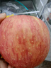 佳農煙臺紅富士蘋(píng)果 凈重10斤大果 果徑85mm+ 生鮮水果禮盒 曬單實(shí)拍圖