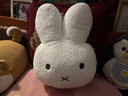 可愛(ài)Miffy米菲兔子玩偶臥室靠墊生日禮物床上靠枕沙發(fā)毛絨 米菲兔頭抱枕 35cm*25cm 含枕芯 曬單實(shí)拍圖