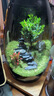 OYKTN生命之樹(shù)苔蘚微景觀(guān)生態(tài)瓶創(chuàng  )意桌面造景盆景綠植盆栽節日生日禮物 生命之樹(shù)微景觀(guān)成品（煙灰款）無(wú)燈 曬單實(shí)拍圖
