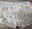 京東京造兒童內褲純棉抗菌男童中大童平角內褲3條 萌寵小龍150 曬單實(shí)拍圖