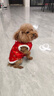 DFBK狗狗衣服秋冬款加絨保暖泰迪博美小型犬小貓大花棉襖新年寵物唐裝 瀨毛公主裙 S【建議3-5斤 參考胸圍背長(cháng)】 曬單實(shí)拍圖