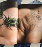 中國茶圖鑒 茶書(shū)茶文化茶藝書(shū)籍茶葉書(shū)籍茶葉書(shū)籍大全茶葉書(shū)茶書(shū)籍茶葉大全茶葉知識書(shū)籍大全茶的書(shū)籍茶經(jīng)茶 中國茶圖鑒 曬單實(shí)拍圖