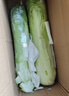 夢(mèng)芷青麻葉白菜高山大白菜綠葉青口白菜長(cháng)桿白菜新鮮火筒菜新鮮蔬菜 曬單實(shí)拍圖