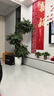 愛(ài)優(yōu)尚幸福樹(shù)盆栽客廳室內大型綠植辦公室喬遷新家綠寶凈化空氣源頭直發(fā) 曬單實(shí)拍圖