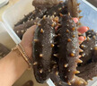 國標特級半干海參鹽漬海參拉缸鹽海參特價(jià)遼參9A海參野生遼刺參 20-30根 體驗裝 250g*1盒 曬單實(shí)拍圖