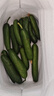壽光水果黃瓜小黃瓜生吃脆嫩清甜涼拌蘸醬乳瓜農家自種現摘現發(fā) 水果黃瓜 禮盒裝帶箱 3斤 曬單實(shí)拍圖