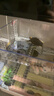 OSKV烏龜曬臺龜缸浮島水族箱曬背臺爬坡爬架亞克力曬背臺高水位平臺 亞克力掛鉤曬臺小號+送龜糧 曬單實(shí)拍圖
