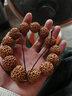 力匠 精挑尼泊爾大金剛菩提子原籽手串爆肉沉水七八瓣散珠男士佛珠 7瓣20-22mm11顆【精挑臻品級】 曬單實(shí)拍圖