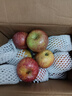 探味君 正宗大涼山丑蘋(píng)果 當季時(shí)令新鮮水果四川冰糖心蘋(píng)果紅富士 生鮮 凈重4.5-5斤 單果60mm-65mm（迷你果） 曬單實(shí)拍圖