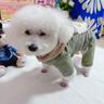 嬉皮狗（hipidog）狗狗衣服加厚絎棉口袋牽引四腳棉衣小型幼犬雪納瑞西高地寵物衣服 蒂安綠 M （建議體重5-8斤） 曬單實(shí)拍圖
