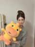 多愛(ài)（Duoai）  正版水豚嚕嚕公仔毛絨卡皮巴拉玩偶超大號送女友生日禮物 呆呆 45cm 送女孩女友道歉禮物送女生男生 曬單實(shí)拍圖