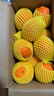 哆莫香美國進(jìn)口黑標橙子新鮮水果當季黑標臍橙 進(jìn)口3107橙子甜橙禮盒 甄選大果10斤【無(wú)禮盒】 曬單實(shí)拍圖