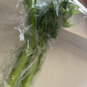 彩虹雨  北京農場(chǎng)有機西芹400g 歐盟認證 有機蔬菜自有農場(chǎng)新鮮直發(fā) 曬單實(shí)拍圖