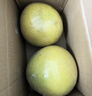 泰國青柚翡翠金柚泰柚新鮮水果翡翠柚紅心蜜柚 2粒裝單果2-2.5斤 曬單實(shí)拍圖