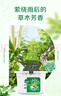 滴露4合1多效洗衣凝珠 持久留香洗衣球留香珠 除菌除螨深層潔凈洗衣液 【100顆組合】清橙*1盒+青草*1盒 曬單實(shí)拍圖