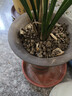 德沃多仙土2.5kg(6-12mm)園藝盆栽綠植花肥料多肉顆粒土蘭花君子蘭植料 曬單實(shí)拍圖