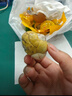 舌小悠【紅殼大個(gè)】十三天新鮮活珠子雞胚蛋五香味香辣味開(kāi)袋即食正宗 混合口味 50g*10枚 曬單實(shí)拍圖