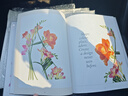 預訂 The Botanical Shoes: A Collection of Botanical Shoe Paintings in Watercolour and Words: 978180 曬單實(shí)拍圖