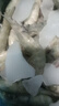 大蝦4斤白蝦基圍蝦青蝦新鮮冷凍海蝦冰蝦鮮蝦生鮮蝦類(lèi) 15-17cm 4斤裝 [凈蝦3.1-3.3斤]單只凍 曬單實(shí)拍圖