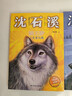 動(dòng)物小說(shuō)大王沈石溪注音版故事書(shū)（經(jīng)典篇套裝共15冊狼王夢(mèng)、斑羚飛渡、第七條獵狗等）兒童課外讀物  曬單實(shí)拍圖