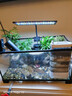 瘋狂水草（FKSC）龜缸過(guò)濾器循環(huán)水泵可免換水低水位凈水器 4層凈水全套烏龜過(guò)濾器 曬單實(shí)拍圖