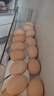 溫潤食品可生食新鮮雞蛋30枚/3斤 健身食材 無(wú)抗生素 不含沙門(mén)氏菌 曬單實(shí)拍圖