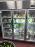 諾唯斯三開(kāi)門(mén)冷藏展示柜商用保鮮柜水果蔬菜麻辣燙燒烤雙開(kāi)門(mén)冷凍冰柜啤酒飲料立式陳列柜大容量風(fēng)冷無(wú)霜 定制【尺寸/款式/配置】 曬單實(shí)拍圖