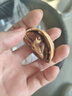 享食兔新疆紙皮核桃薄皮新鮮特級185阿克蘇原味正宗25年新貨堅果炒貨2斤 曬單實(shí)拍圖
