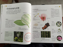 DK植物大百科（新版）典藏級植物圖譜 探索植物秘密 京東自營(yíng)正版 曬單實(shí)拍圖
