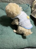 小奶狗幼犬貓咪寵物狗狗秋冬保暖衣服蜜蜂泰迪博美英短無(wú)毛貓用品 奶狗粉蜜蜂 S【建議3-4斤寵物寶寶】 曬單實(shí)拍圖