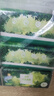 藍漂抽紙4層80抽*6包4D壓花加厚自然無(wú)香面巾紙綠野森林源頭直發(fā)包郵 曬單實(shí)拍圖