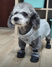 嬉皮狗（hipidog）狗狗防塵褲秋冬暖絨四腳全包泰迪比熊小型幼犬外出保暖寵物防臟褲 邁洛灰-暖絨全包 L（建議體重11-14斤） 曬單實(shí)拍圖