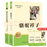 駱駝祥子 鋼鐵是怎樣煉成的 七年級下冊初中語(yǔ)文教材名著(zhù)導讀推薦閱讀書(shū)目 初一中學(xué)生課外閱讀名著(zhù)套 曬單實(shí)拍圖