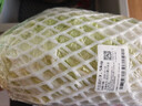 大白菜約1kg 曬單實(shí)拍圖