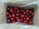 松筱智利車(chē)厘子【JD順豐-多地次日達】5kg4J級進(jìn)口櫻桃水果禮盒送禮物 3斤(凈重) 巨無(wú)霸4J級32-34mm 曬單實(shí)拍圖