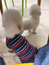 優(yōu)觀(guān)小狗狗衣服潮流美式條紋春秋夏薄款寵物T恤小型犬雪納瑞泰迪比熊 圖片色 S[3-5斤] 曬單實(shí)拍圖