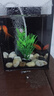 森森 魚(yú)缸造景水族造景魚(yú)缸水草植物擺件水族箱造景前中景草仿真水草 ZJ-101B 曬單實(shí)拍圖