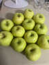 陜西白水瑞雪蘋(píng)果新鮮水果應當季脆甜青蘋(píng)果 60-70mm嘗鮮果16枚 曬單實(shí)拍圖