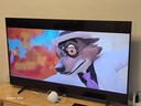 三星品質(zhì)款 55DU8000C 55英寸 平板液晶AI電視 超薄4K AI智能補幀 無(wú)開(kāi)機廣告 UA55DU8000CXXZ 曬單實(shí)拍圖