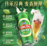 青島啤酒（TsingTao）經(jīng)典拉格 550ml*18聽(tīng) 加量不加價(jià) 整箱裝 年貨送禮 曬單實(shí)拍圖
