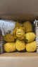 正宗海南黃金燕窩果當季新鮮熱帶水果麒麟果稀有黃火龍果鮮甜多汁 【大果】 凈重4斤 單果200g+ 曬單實(shí)拍圖