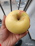 大連奶油富士維納斯蘋(píng)果新鮮水果奶油黃富士冰糖心蘋(píng)果現摘水果 整箱5斤凈重4.5斤【80-85mm】 曬單實(shí)拍圖
