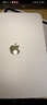 Apple/蘋(píng)果 iPad11英寸 A16芯片2025年款 平板電腦 (128GB WLAN版/學(xué)習辦公娛樂(lè ))銀色 曬單實(shí)拍圖