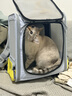 小佩露營(yíng)帳篷貓包xZONE 寵物超大便攜外出包貓包雙肩太空艙可擴展 貓包（灰） 曬單實(shí)拍圖