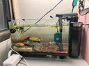 AMTRA TECHNIK德國安彩壁掛過(guò)濾器ex650魚(yú)缸過(guò)濾器烏龜低水位凈水靜音 EX650 標準版【內含濾材】 曬單實(shí)拍圖